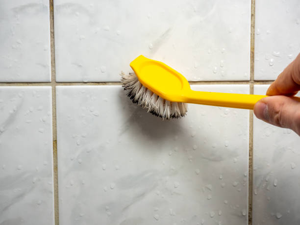 Best Local Mold Removal Service  in Ripley, OH