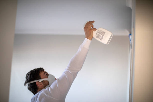 Best Mold Damage Repair  in Ripley, OH